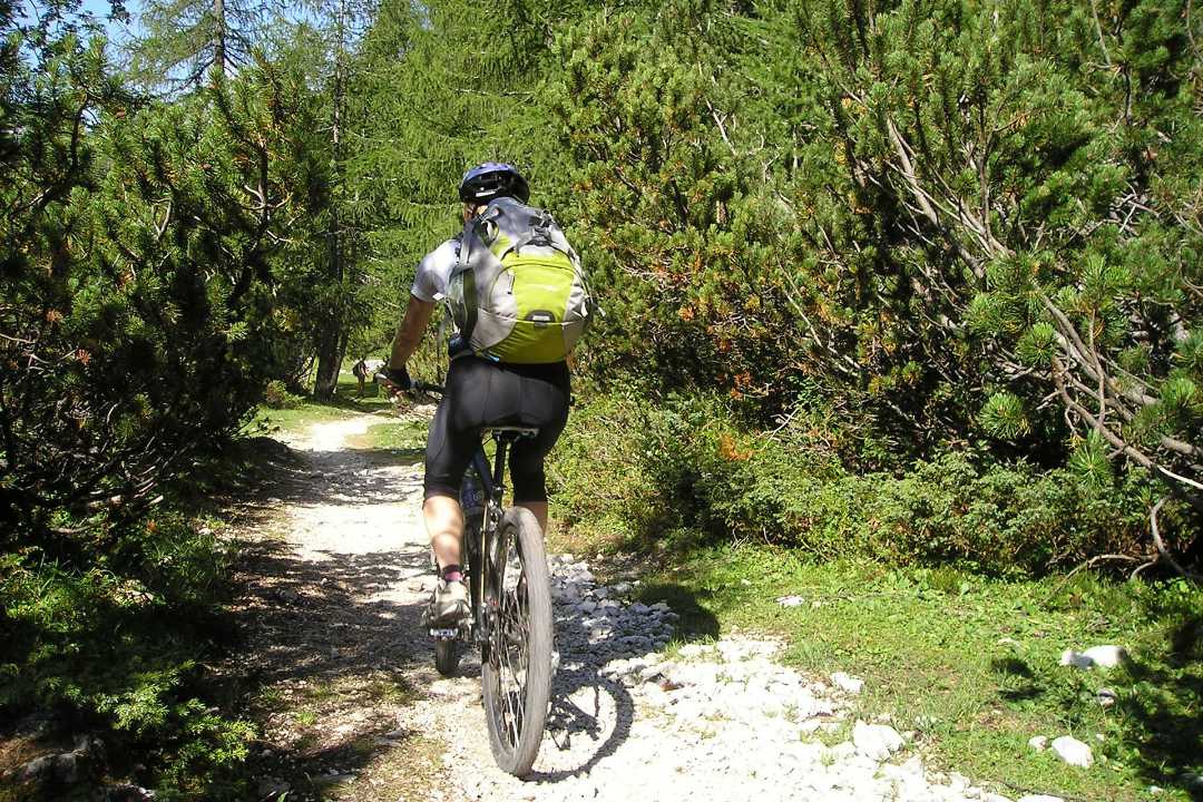 all-mountain-bike.jpg