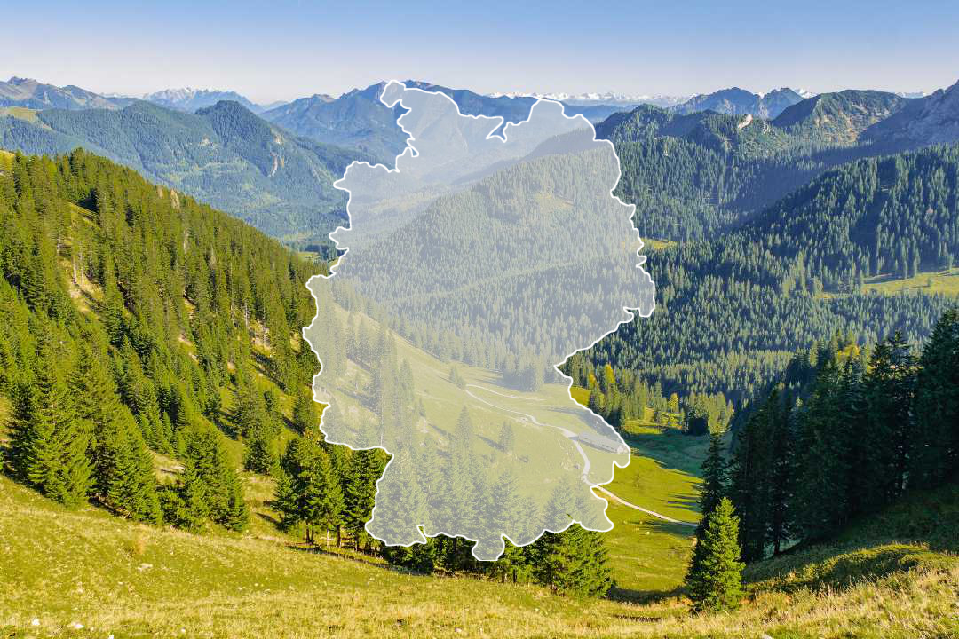 Waldlandschaft Bayern