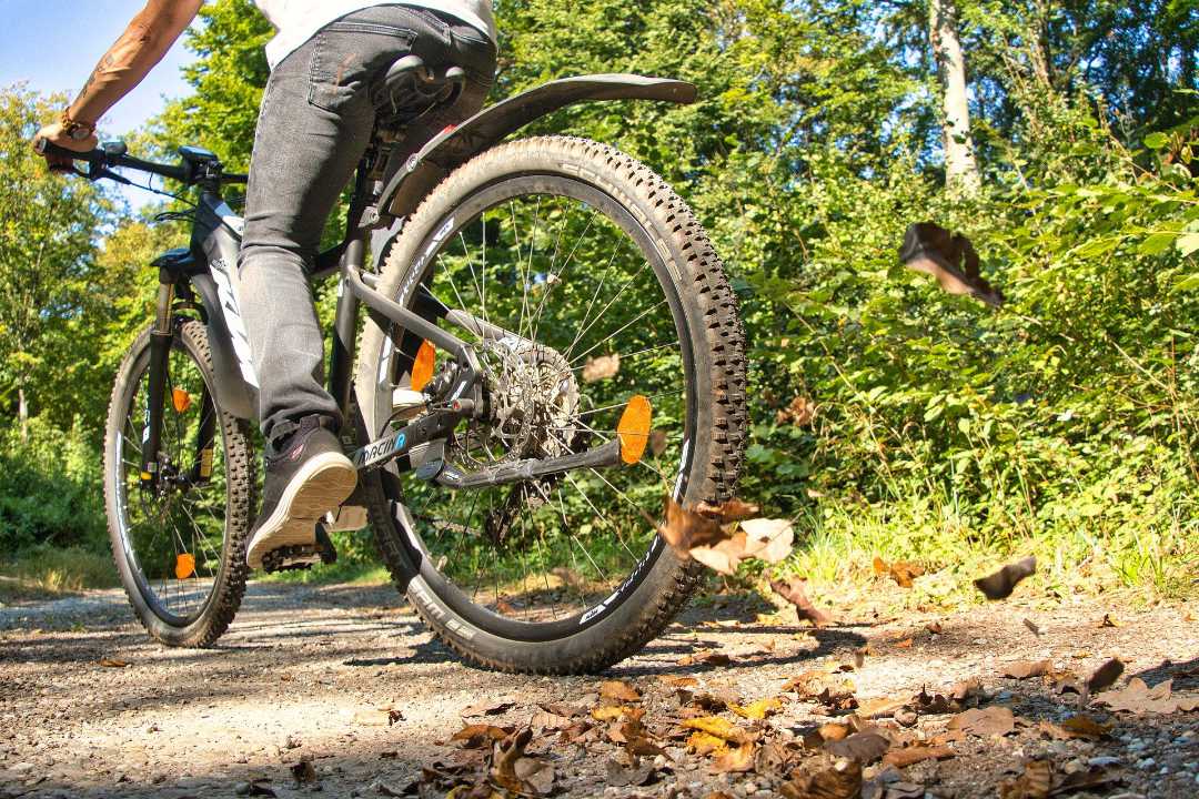 gemütliche-mountainbiketour.jpg